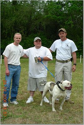 Johnson American Bulldog Gallery - Jemm's Only Little For A Minute