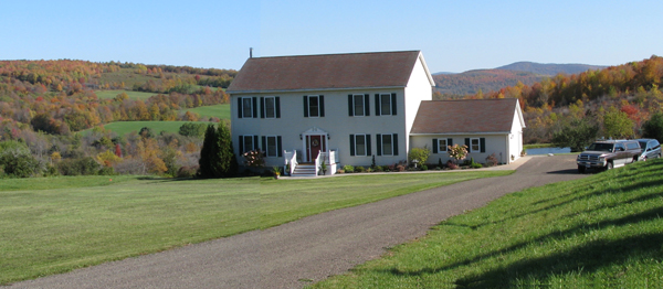 Atomic American Bulldogs Atomic American Bulldogs