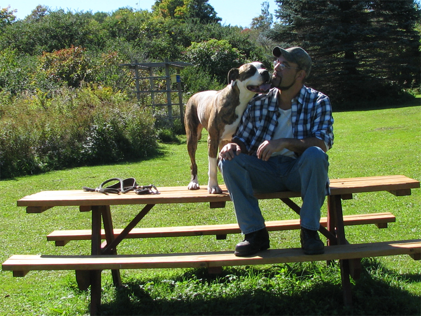 Atomic American Bulldogs - Brina