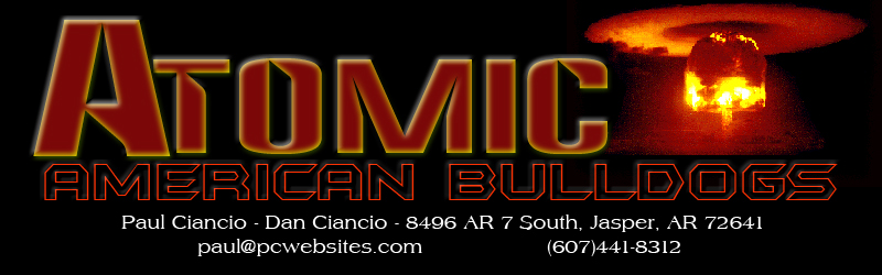 Atomic American Bulldogs